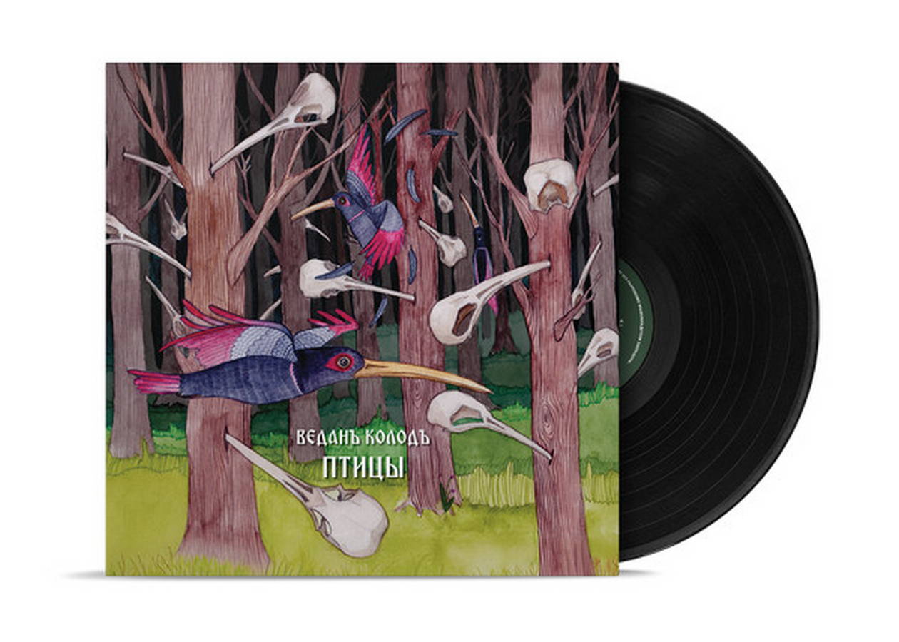 ВеданЪ КолодЪ – Птицы